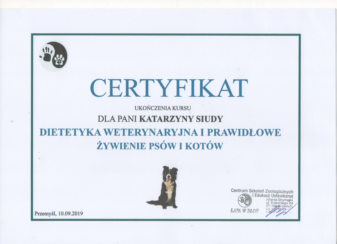 Certyfikat #10